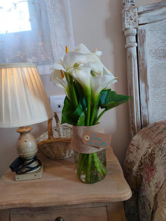 Antonia Apartament *